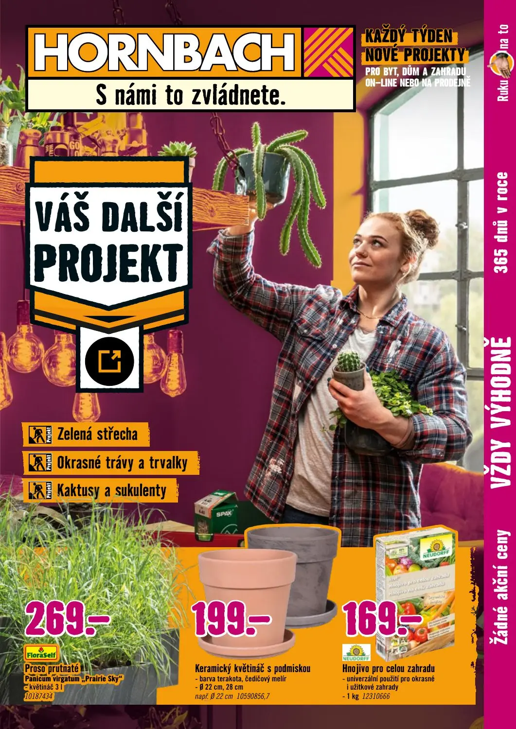 Váš další projekt - Zelená střecha
