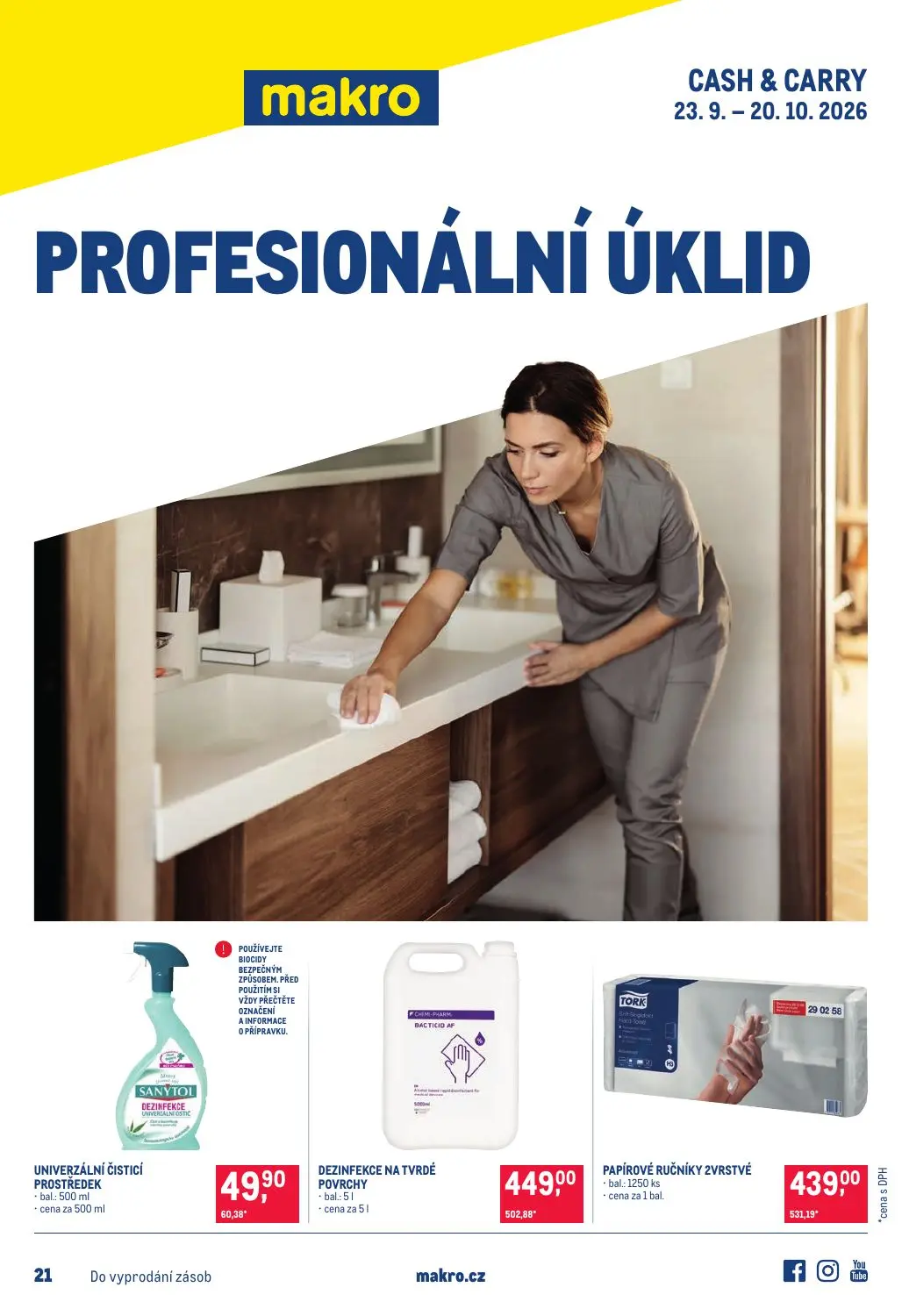 Profesionální úklid