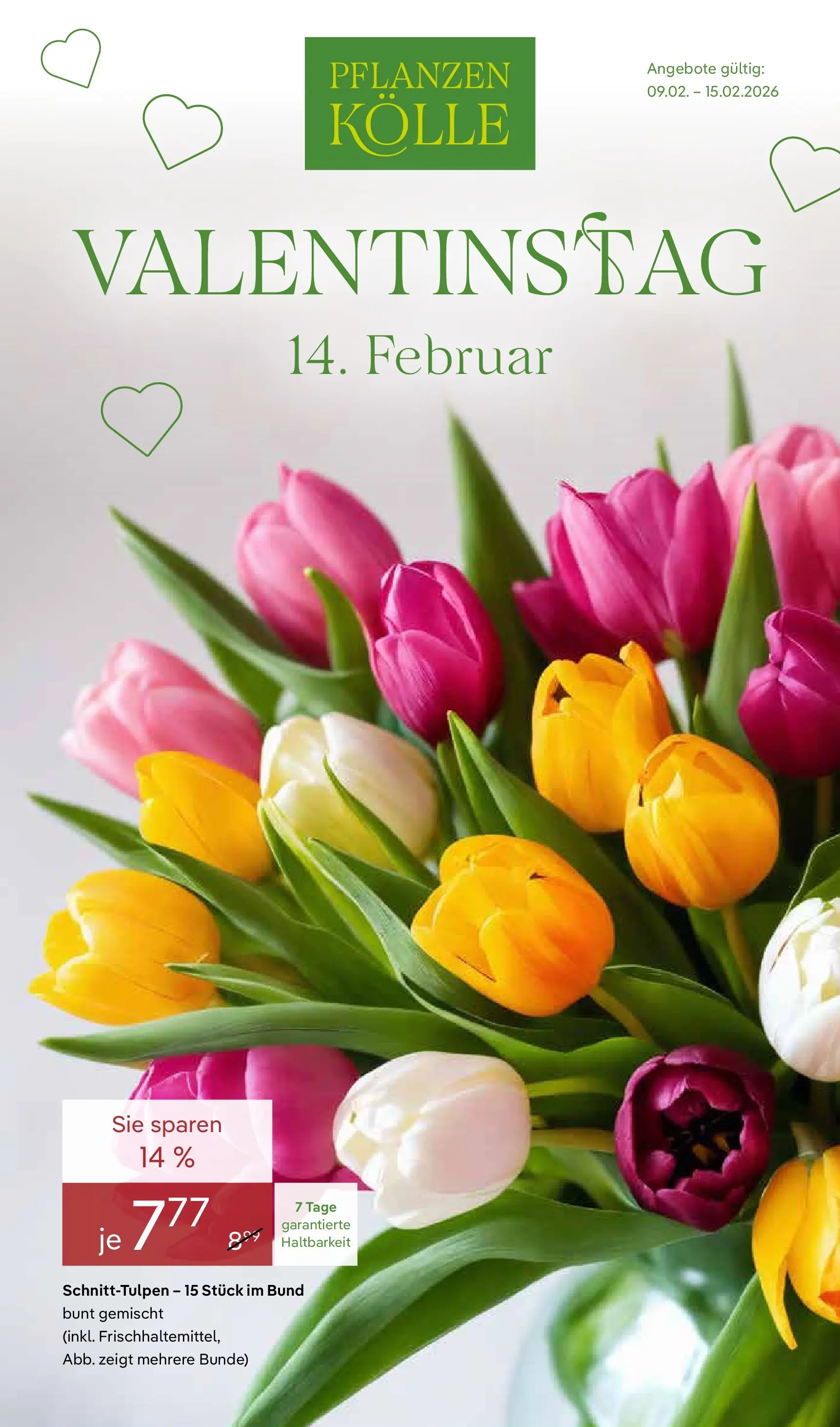 Pflanzen-Kölle: Valentinstag