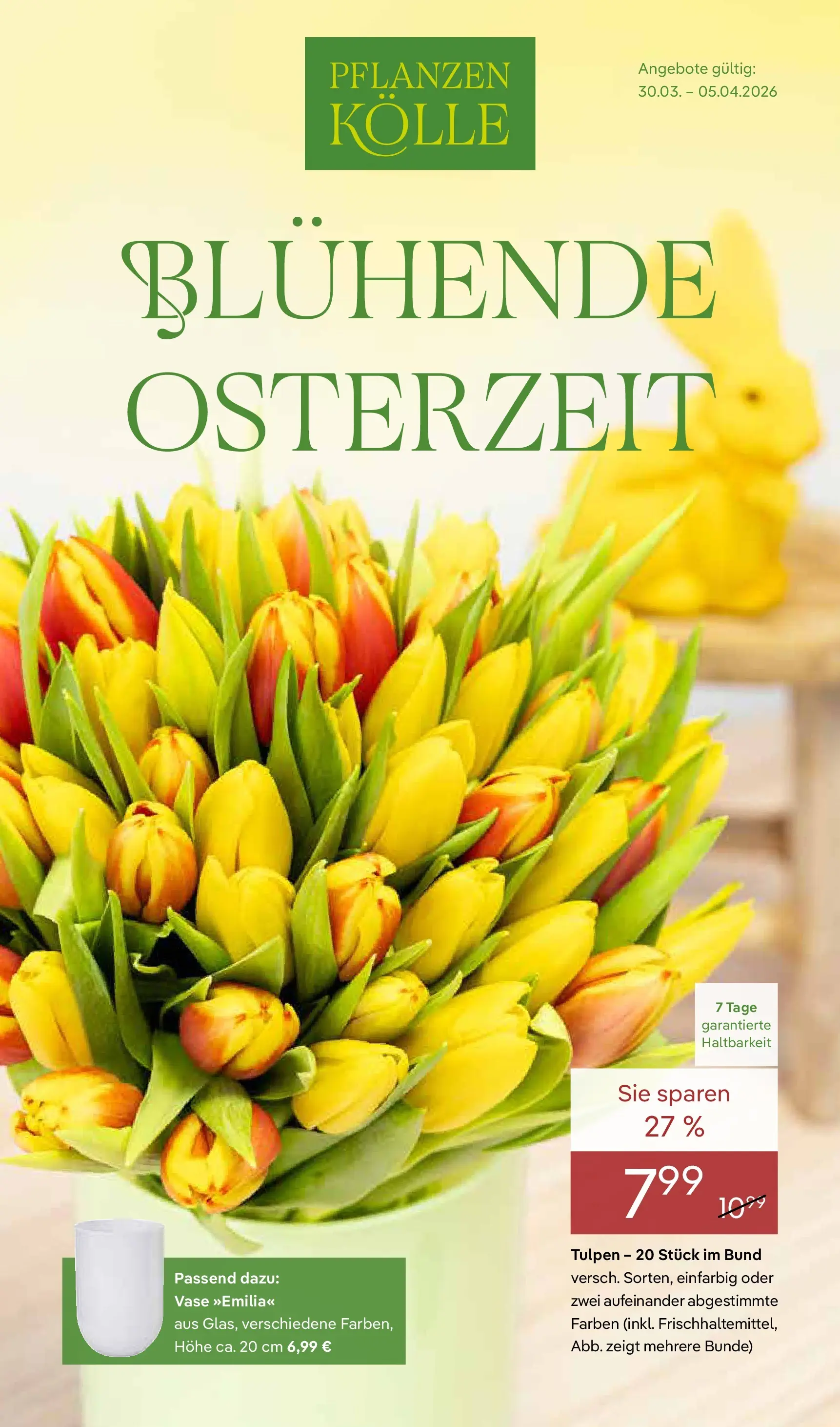Pflanzen-Kölle: Blühende Osterzeit