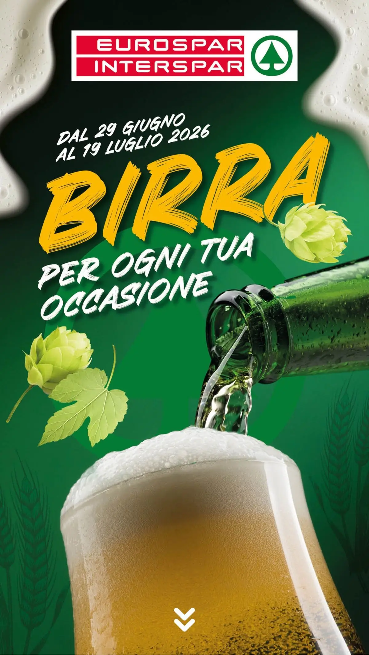 Birra per ogni tua occasione