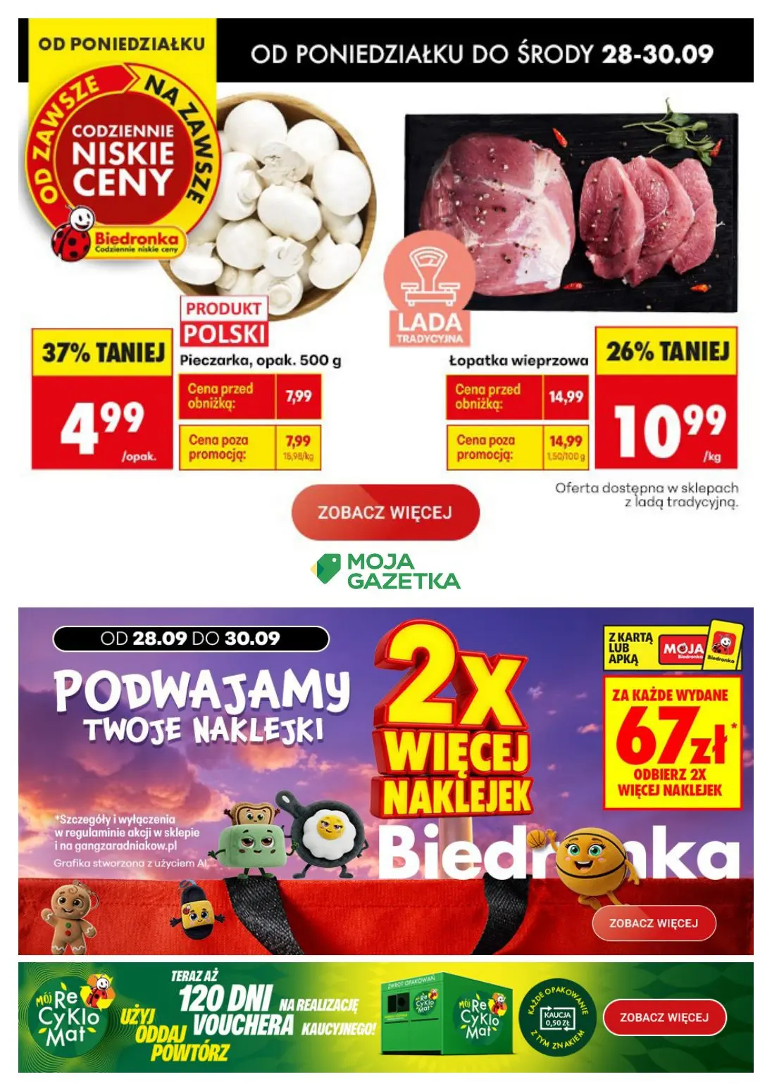 Biedronkowe oszczędności