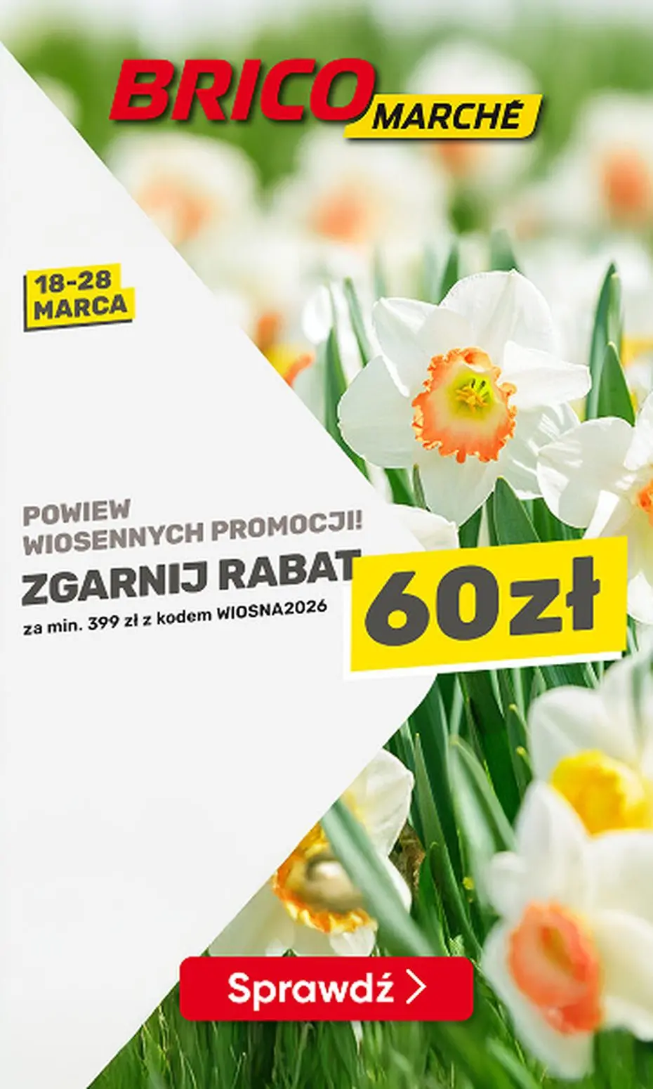 Poczuj powiew wiosennych promocji!