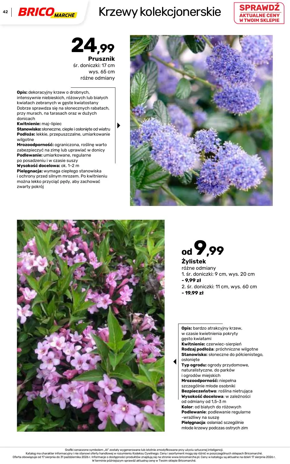 Page 42