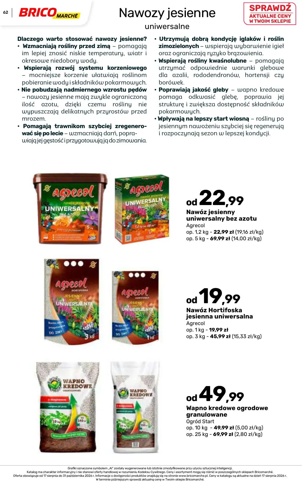 Page 62