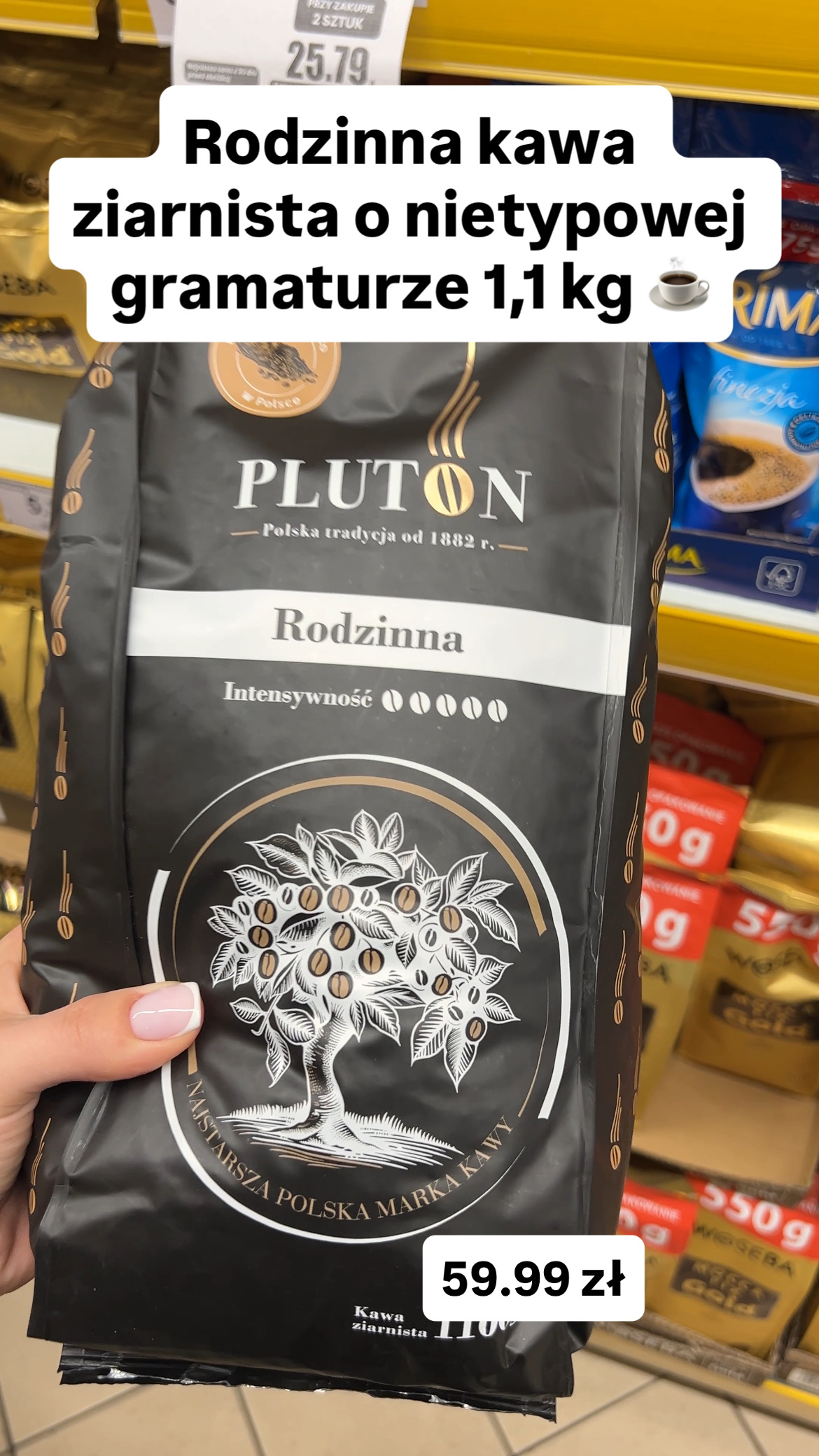 Nietypowe nowości z Dino